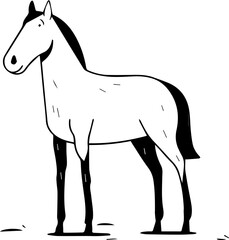 Obraz premium simple vector design horse illustration