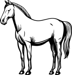 simple vector design horse illustration
