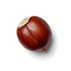 Obraz premium Single roasted chestnut top view, isolated on white background