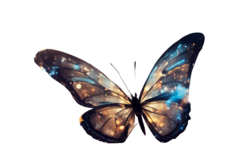 change freedom imply high background artificial digital life innovation cycle other beautiful future transformation butterfly business growth transform technology concept success abstract successful