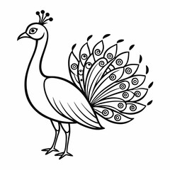 Simple a Peacock line art vector white background