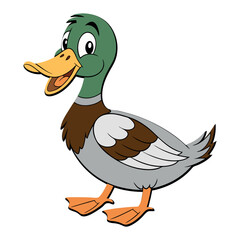 Cartoon duck on white background