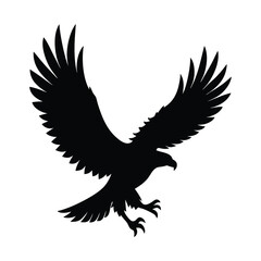 Eagle flying silhouette vector illustration, bird flying.