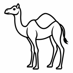 Simple a Camel line art vector white background