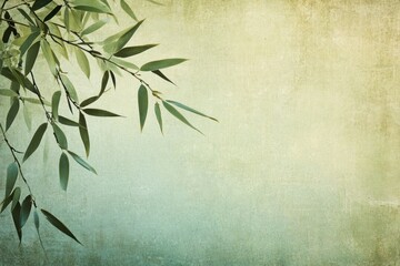 Soft Green Background with Delicate Bamboo Leaves Overlaid