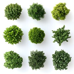 Obraz premium Collection of Various Green Topiary Plants on White Background in Studio Shot with Soft Shadows