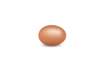 Realistic egg vector on white background. chicken egg, egg farm, eggs vector.