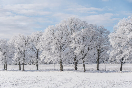 Farm barn and house in a cold wintry landscape with snow anf frost - Powered by Adobe
