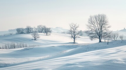 serene snowy scenery with untouched nature