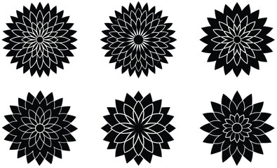 Black and white flower, floral vector