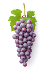 Fototapeta premium A bunch of fresh blue grapes isolated, isolated on white background