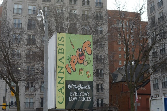 cube sign at iPot Cannabis located at 141 Queen St E near Jarvis St in Toronto, Canada