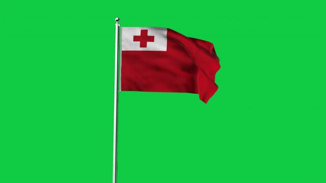 High detailed flag of Tonga. National Tonga flag. Oceania. 3D Render.