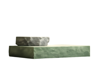 packaging platform water fresh scene wood natural show summer podium empty leaf concrete eco background dais tree jungle ai rock forest garden stone green display spring stage product presentation