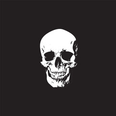 Skull vector.  Human Skull Logo vector illustration.