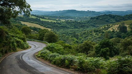 Fototapeta premium view of winding asphalt road in the middle of pine forest