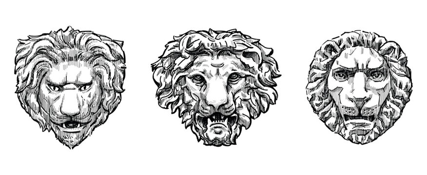 Sketches of three various stone lions masks, sculpture animal faces, three wild cats heads, vintage artistic architectural details, vector hand drawn illustration isolated on white