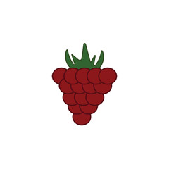 raspberry