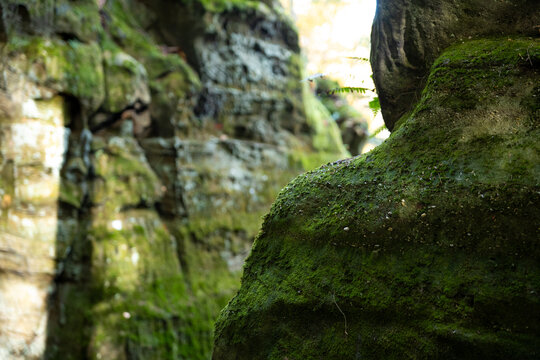 Moss covered cliff face on a sunny day