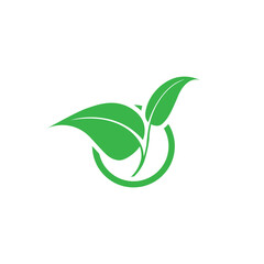 Agriculture logo vector. Organic Product icon, leaf logo.