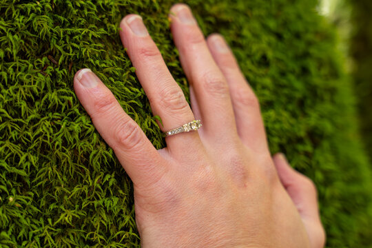 woman's hand and wedding band on mossy trunk