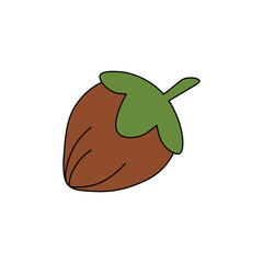 hazelnut vector type icon