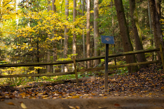 autumn in the park