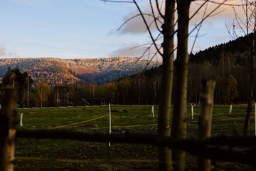 Obraz premium Landscape, meadow, snowy mountains, nature