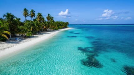 A beautiful blue ocean with palm trees in the background