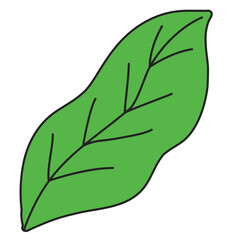 hand drawn leave and flower