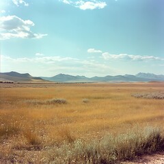 Fototapeta premium golden wheat rustles gently below a sunset’s fiery clouds image