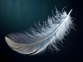 Obraz premium A close-up, macro photograph of a single, delicate white feather floating against a dark background