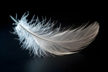 Obraz premium A close-up, macro photograph of a single, delicate white feather floating against a dark background