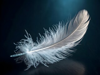 Obraz premium A close-up, macro photograph of a single, delicate white feather floating against a dark background