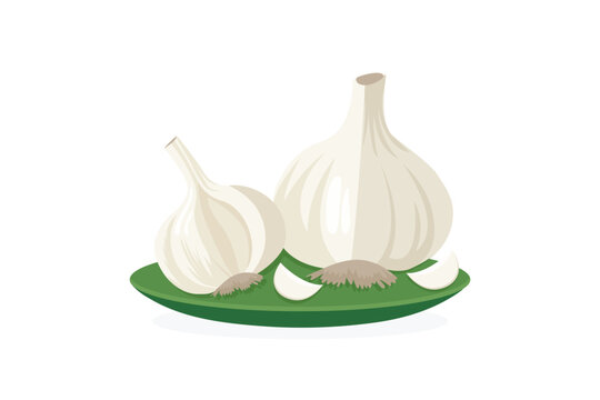 Garlic on plate flat vector illustration isolated on white background