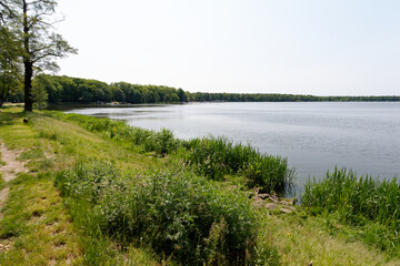Jezioro Paprocany, Tychy