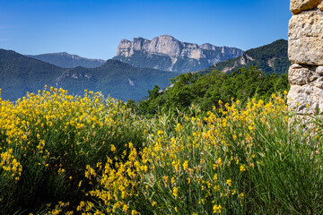 The famous &ldquo;Trois Becs&rdquo; Rochecourbe, le Signal and le Veyou, from Vercheny, Dr&ocirc;me, France.  Summer morning in the Dr&ocirc;me valley. Clairette de Die vineyard in the Dr&ocirc;me valley..
