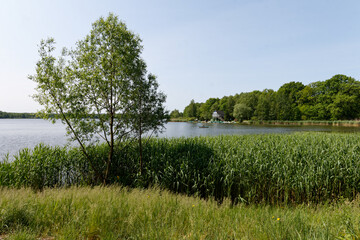 Jezioro Paprocany, Tychy