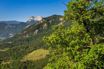 Fototapeta premium The famous “Trois Becs” Rochecourbe, le Signal and le Veyou, from Vercheny, Drôme, France. Summer morning in the Drôme valley. Clairette de Die vineyard in the Drôme valley.. 