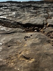 Textured rocky terrain closeup