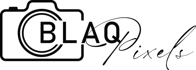 Camera  logo design Vector Fill 