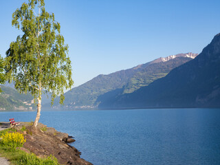 Walensee, Switzerland - May 10th 2024: Morning situation at the beautiful coast of the lake between the mountains