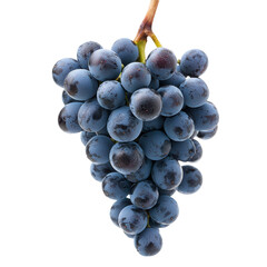 Fresh and Juicy Blue Grapes on Transparent Background