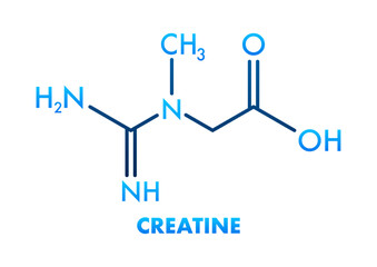 Skeletal Formula of Creatine Showing Nitrogen, Hydrogen, Carbon and Oxygen Atoms