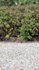A serene outdoor scene showcasing gravel ground with lush green shrubs in the background, perfect for nature lovers and outdoor enthusiasts seeking tranquility.