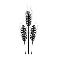 Simple wheat logo, wheat icon vector on white background.