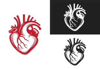 Human heart vector illustration