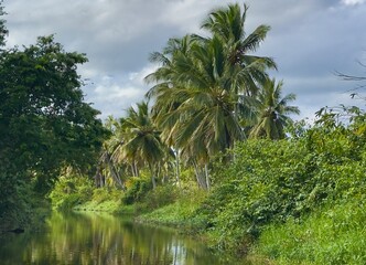 Obraz premium The Yasica River in Cabarete, Dominican Republic