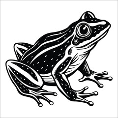 frog on a white