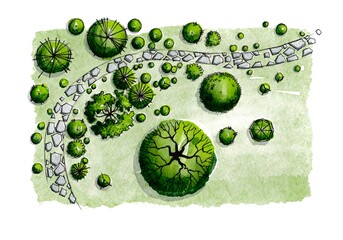 Top View Watercolor Landscape Design Plan with Curved Path and Assorted Trees for Garden or Park Project Presentation